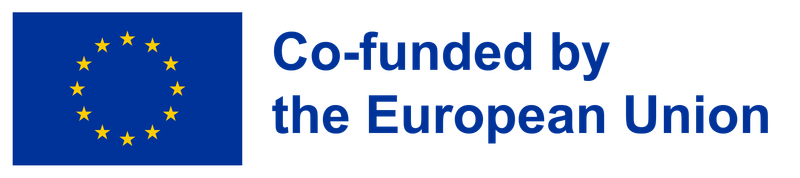 Co-funded by the European Union